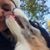 Amy Ferraro Whitsett's profile image