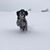 Sarah Brummel's profile image