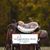 Carolyn Cudaback-Carlyle's profile image