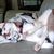 Shain Smith's profile image