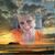 Susan Tincher's profile image