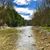 Alaina McAuliffe Ferry's profile image