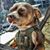 Chris Collett's profile image