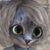 Alan Bard Newcomer's profile image