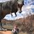 Cathy Partain's profile image