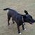 Dottie Johnson's profile image