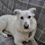 Carolann Fitzgerald's profile image