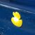 Lisa Notestone's profile image