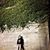 Ashley Schwehr's profile image
