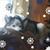 Lori Matuszak's profile image