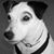 Grant J. Holden's profile image