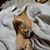 Christy Laseter's profile image