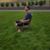 Roman M. Finegold's profile image