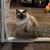 Jennifer Humphrey Finley's profile image