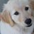 Stephanie Shiba's profile image