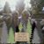 Michelle Rae Mysi Newman's profile image