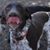 Annand Bill Warman's profile image