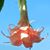 Sue Fecteau's profile image