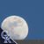 Terri Franklin's profile image