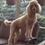 Tami Nothwehr's profile image