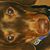 Carolle Brulee-Wilson's profile image