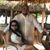 John J. Zapata's profile image