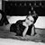 Tiffany Heidle-Lanza's profile image