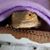 Laura Weisse's profile image