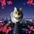 Phyllis Williamson's profile image
