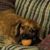 Melanie King White's profile image