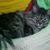 Teresa Rutledge's profile image