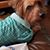 Ester Gomes's profile image