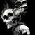 Mike Maxwell's profile image