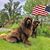 Janis Harner Good's profile image