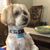Aileen Tartol Miller's profile image