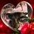 Gayle Bucholz Wilson's profile image