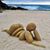 Tracy Bartlett's profile image