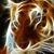 Thomas Jackson's profile image