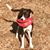 Julie Cook's profile image