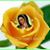 Brenda Reyes's profile image