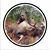 Pat Hendrixson's profile image