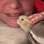 Aimee Brous Neher's profile image