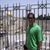 Remo Gualtieri's profile image