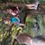 Valarie Mayes's profile image