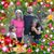 Darlene Scott's profile image