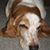 Barry Klein's profile image