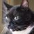E Lba Rosales-Rlce's profile image