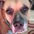 Bobbi Brandon's profile image