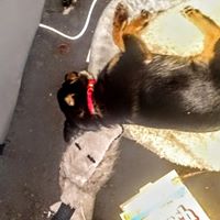 James Brown's profile image
