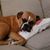 Mindy Hall Bradshaw's profile image